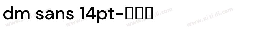 dm sans 14pt字体转换